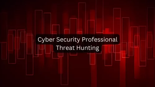 Cyber Security Professional Threat Hunting
